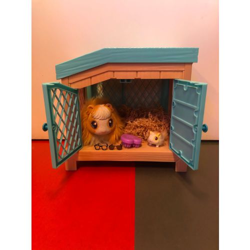 Cavia Hok Cavia Hok