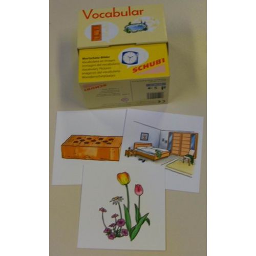 Woordenschatkaarten Woordenschatkaarten