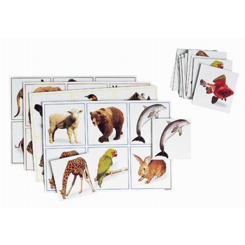 Maxilotto dieren Maxilotto dieren