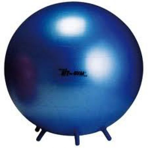 Gymnic bal blauw Gymnic bal blauw