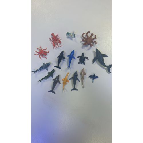 Zeedieren